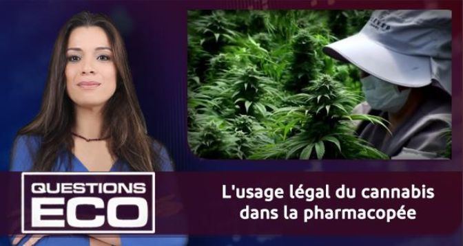 Questions ÉCO > L’usage légal du cannabis dans la pharmacopée