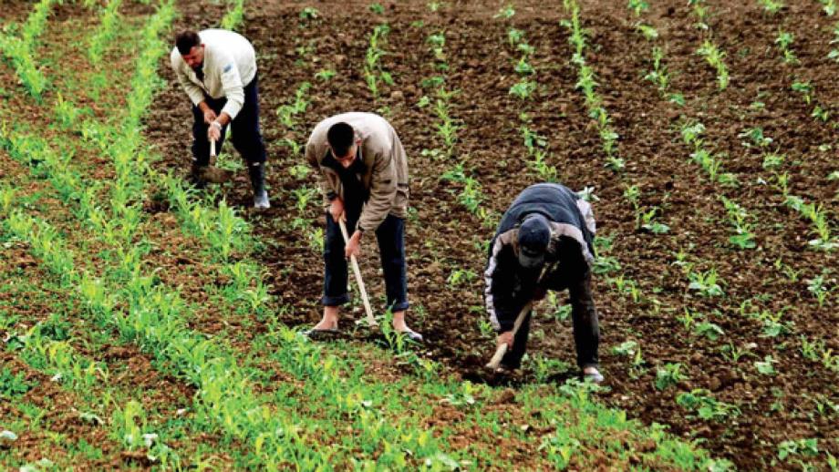 متى ينعم المغرب بطبقة فلاحية وسطى؟