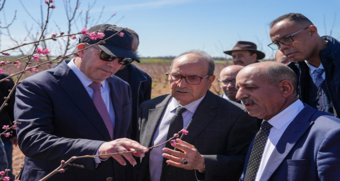Ahmed El Bouari à Meknès, El Hajeb et Ifrane pour s'enquérir de l’avancement de la campagne agricole et de l’impact des récentes précipitations
