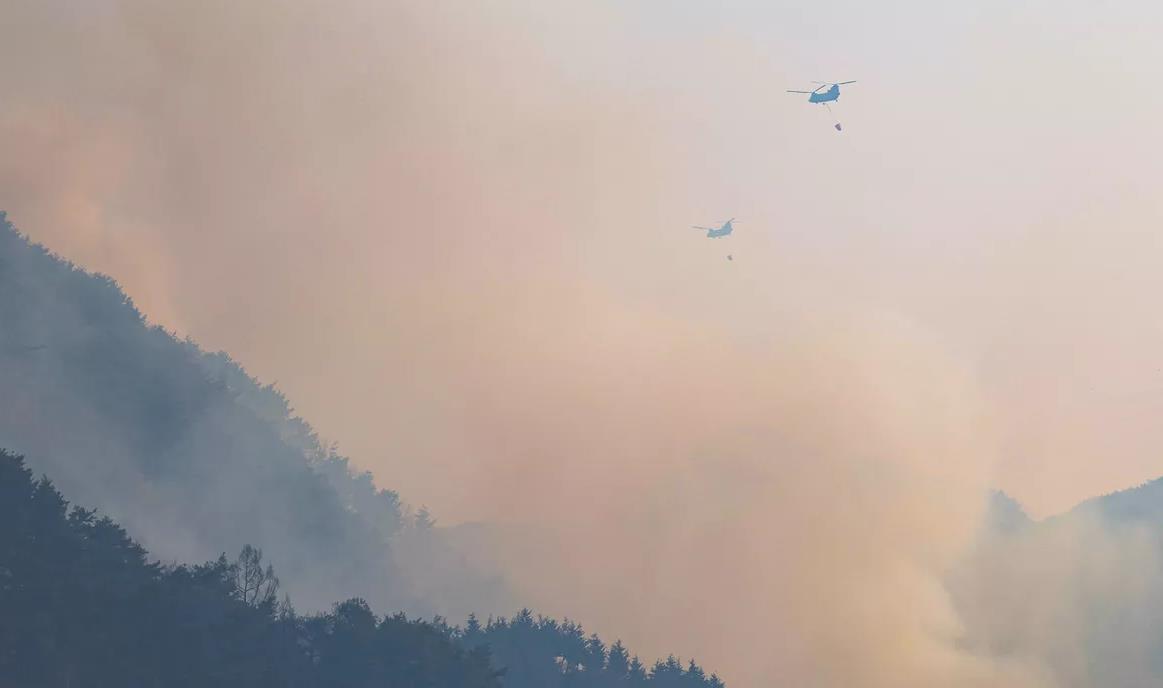 Corée: 4 morts et 1500 évacués dans de violents incendies de forêt