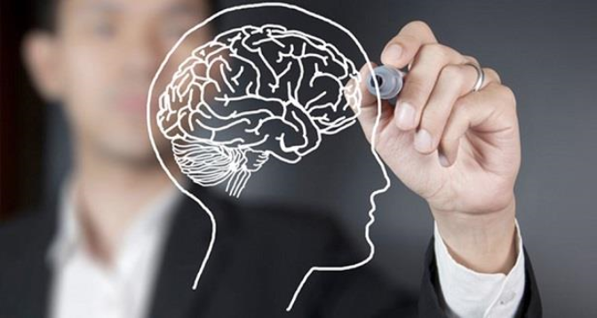 دراسة: الألياف تساعد في تحسين وظائف المخ لدى كبار السن 