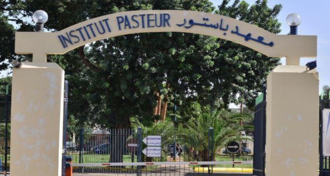 Conseil de gouvernement : nomination de  Aahd Oulad El Hassan à la tête du Centre de sérums et vaccins de l&rsquo;Institut Pasteur