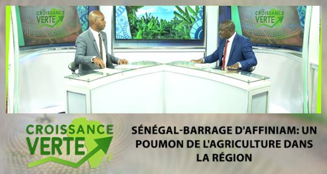 CROISSANCE VERTE > Sénégal-Barrage d’Affiniam: un poumon de l’agriculture dans la région