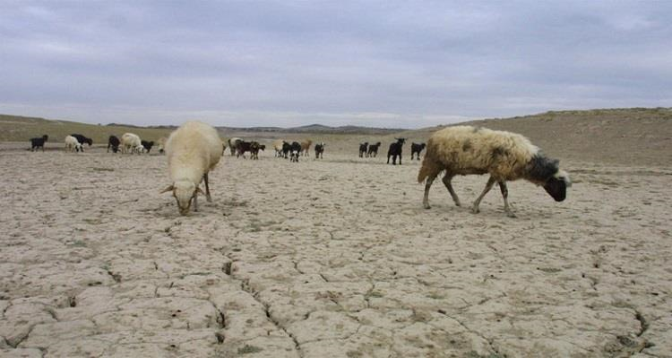 La Tunisie, 5e pays au monde le plus vulnérable au risque accru de sécheresse (rapport)
