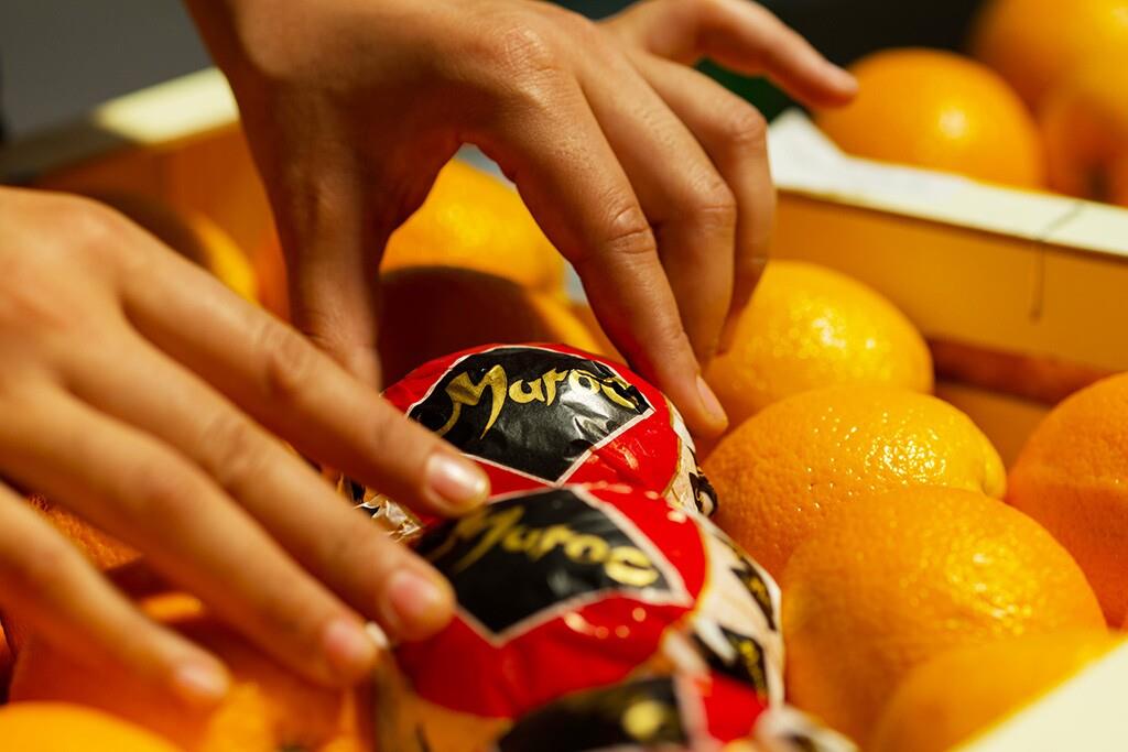 Les agrumes marocains font leur entrée sur le marché japonais