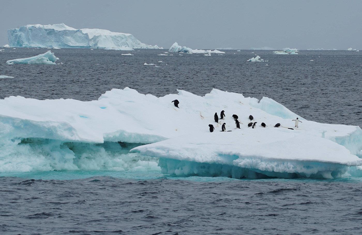 La fonte exceptionnelle de la banquise antarctique en 2022 confirmée 