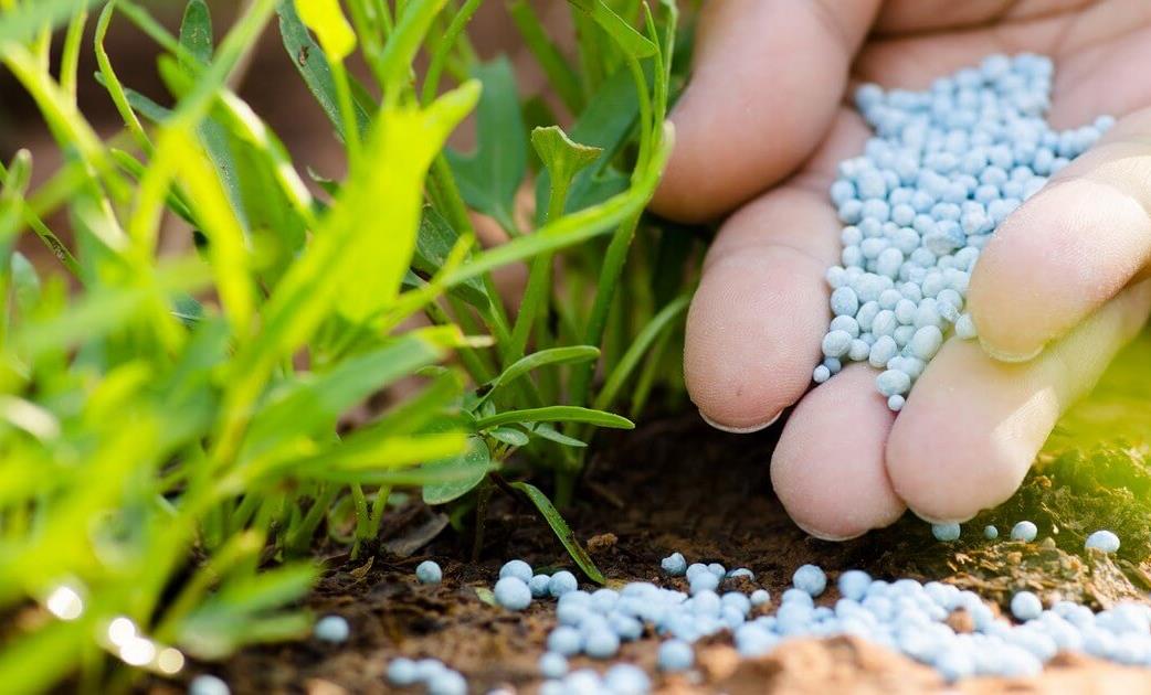 تعطل إمدادات الأسمدة يهدد الأمن الغذائي العالمي