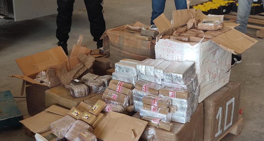 Tanger: mise en échec d'une grande opération de trafic international de drogues, saisie record de plus de 31 tonnes de chira