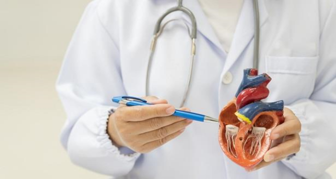 دراسة: زيادة لياقة القلب تقلل خطر الوفاة بنحو 20 في المائة