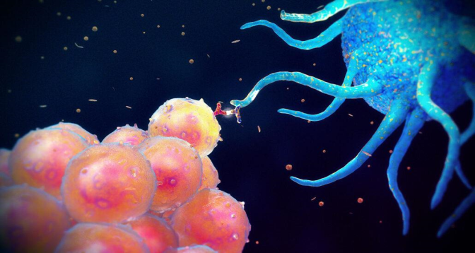 علماء يكتشفون خاصية في الخلايا المناعية قد تقود إلى "علاجات مخصصة" لسرطان الثدي