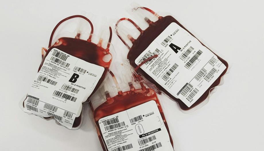 Etude canadienne : peut-on modifier les globules rouges pour une compatibilité universelle ?