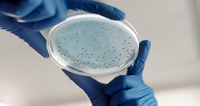 Chercheurs chinois: développement d'une bactérie dépolluant les eaux industrielles