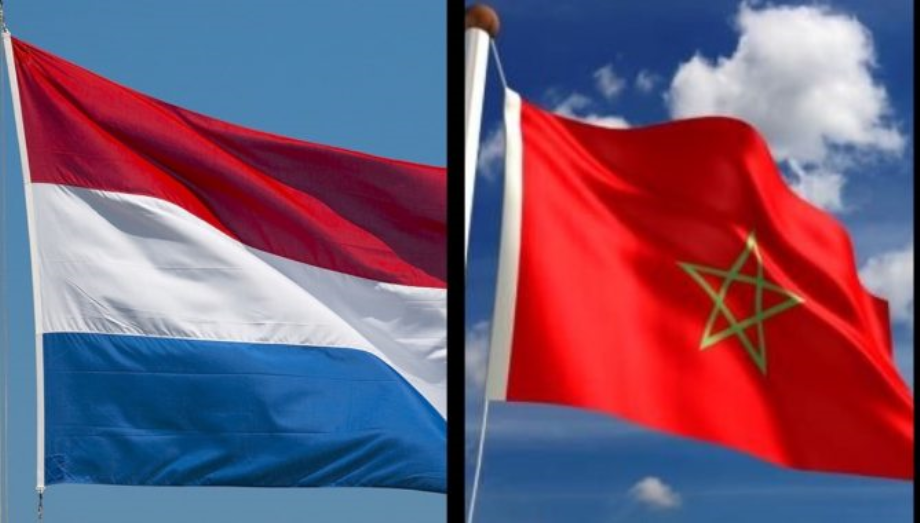 مكافحة الإرهاب: المغرب وهولندا يجددان التأكيد في مراكش على "شراكتهما القوية"