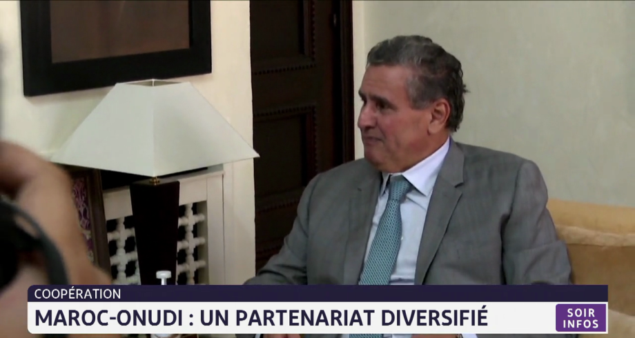 Maroc-ONUDI: un partenariat diversifié