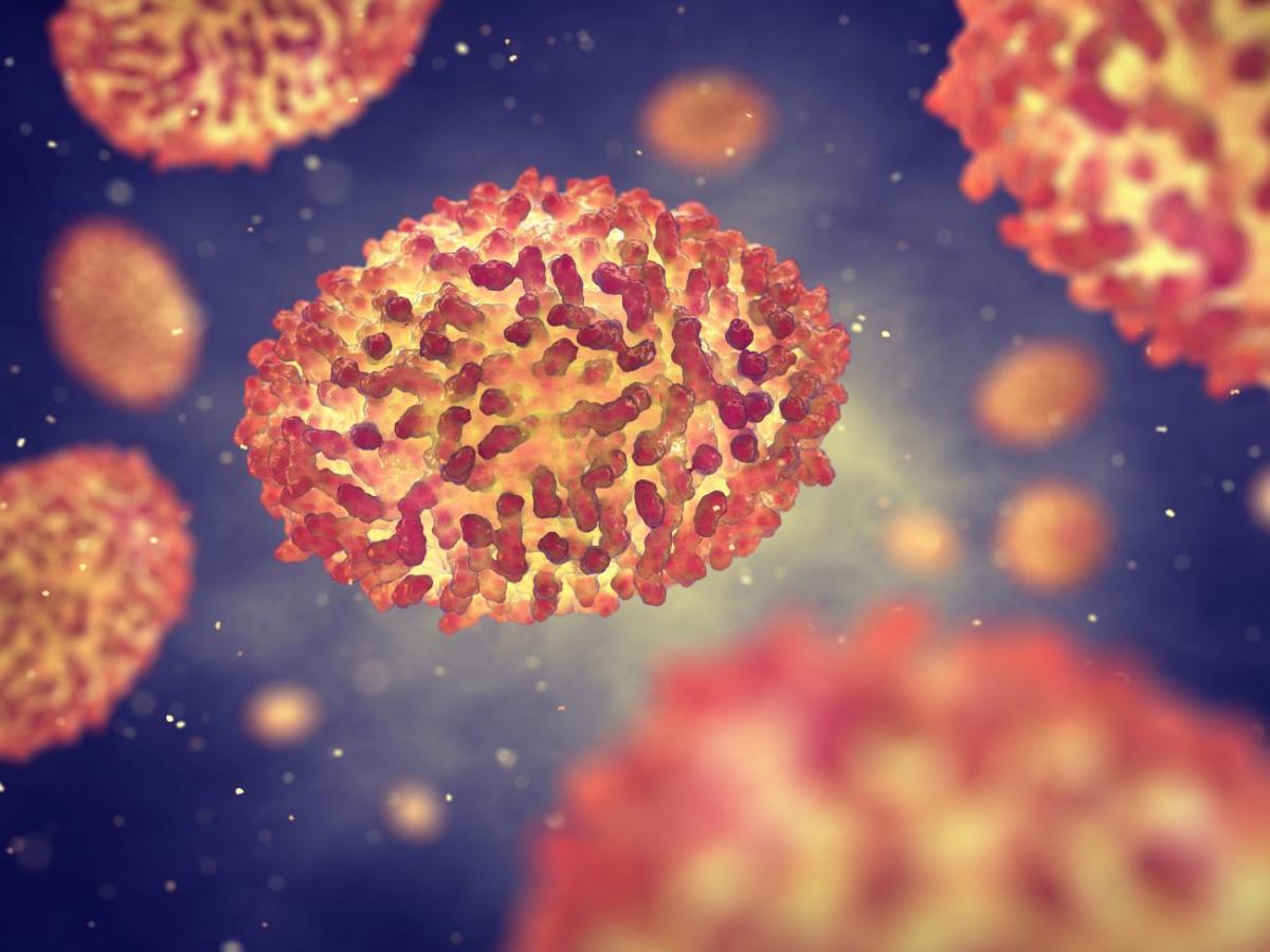 France: 33 cas de la variole du singe confirmés

