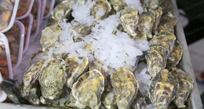 Dakhla : levée de l&rsquo;interdiction sur le ramassage et la commercialisation des produits conchylicoles dans plusieurs zones