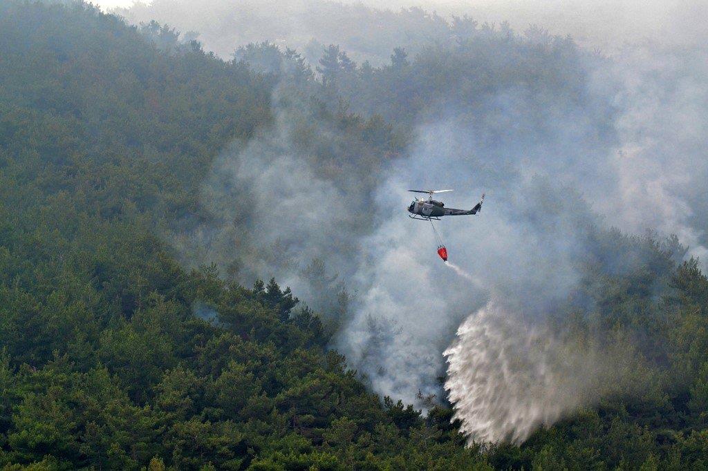ربورتاج: حريق في أكبر غابة صنوبر في لبنان واشتباه بأنه "مدبر"