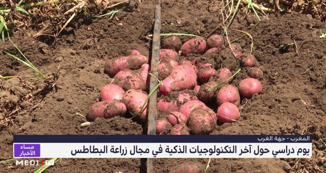 يوم دراسي حول آخر التكنولوجيات الذكية في مجال زراعة البطاطس
