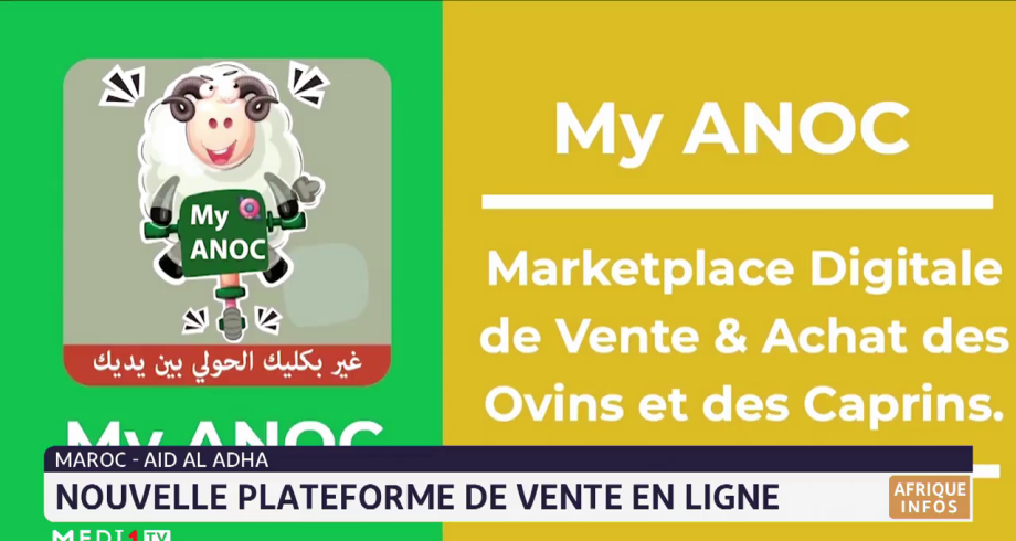 Maroc-Aid Al Adha: "My ANOC", une plateforme pour acheter son mouton en ligne

