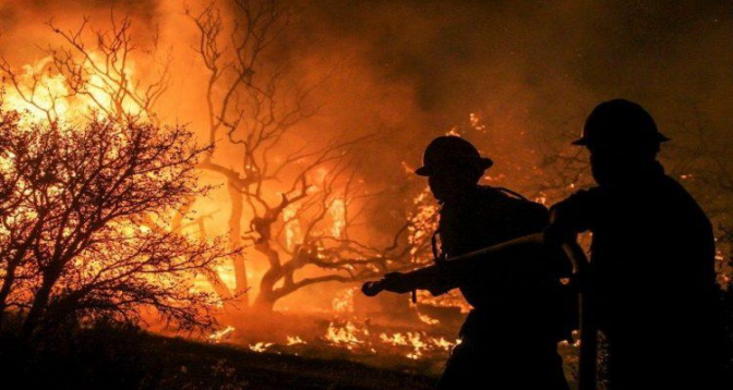 Feux de forêt au Canada : près de 3,7 millions d'hectares brûlés depuis le début de l'année