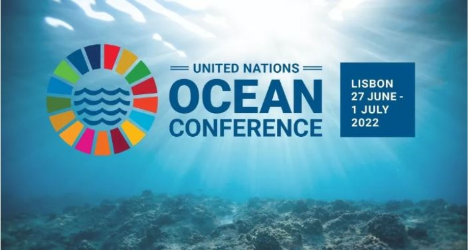 التهديدات التي تواجه المحيطات محور اجتماع للأمم المتحدة