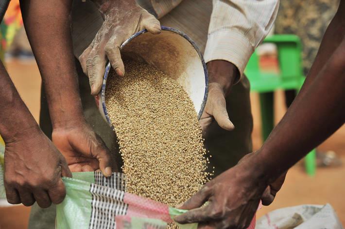L'ONU alerte sur la détérioration de la sécurité alimentaire en République centrafricaine