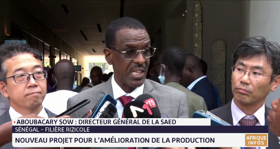 Sénégal: nouveau projet pour l'amélioration de la production de la filière rizicole
