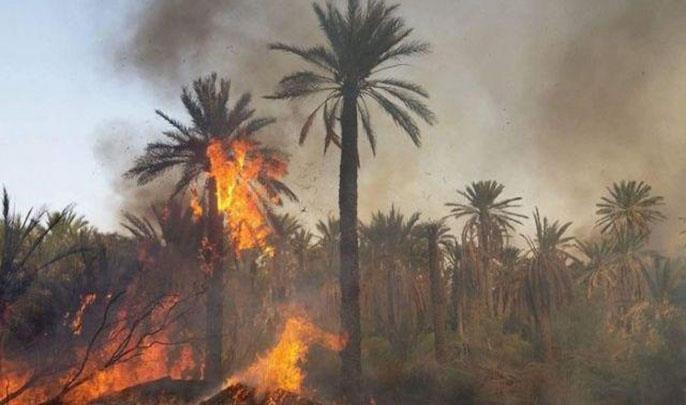 إقليم اشتوكة أيت باها .. حريق بواحة "تاركانتوشكا" يتسبب في إتلاف أزيد من 6 هكتارات من النخيل