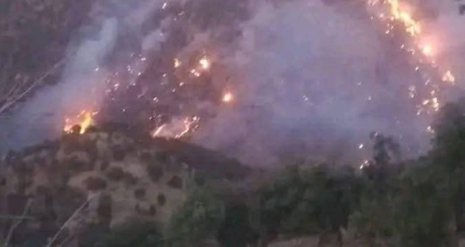 Le feu de forêt d'Ait Isha dans la province d'Azilal maîtrisé