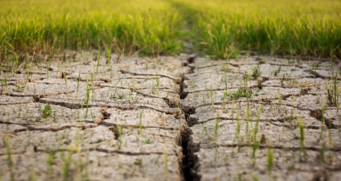 OMM : Les indicateurs clés du changement climatique à des niveaux records