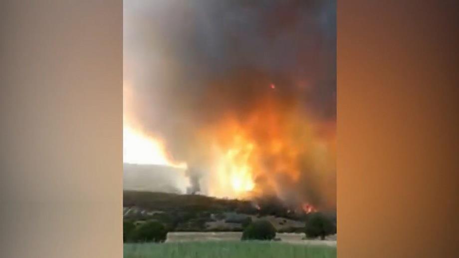 Larache: les opérations se poursuivent pour maîtriser les incendies de forêt


