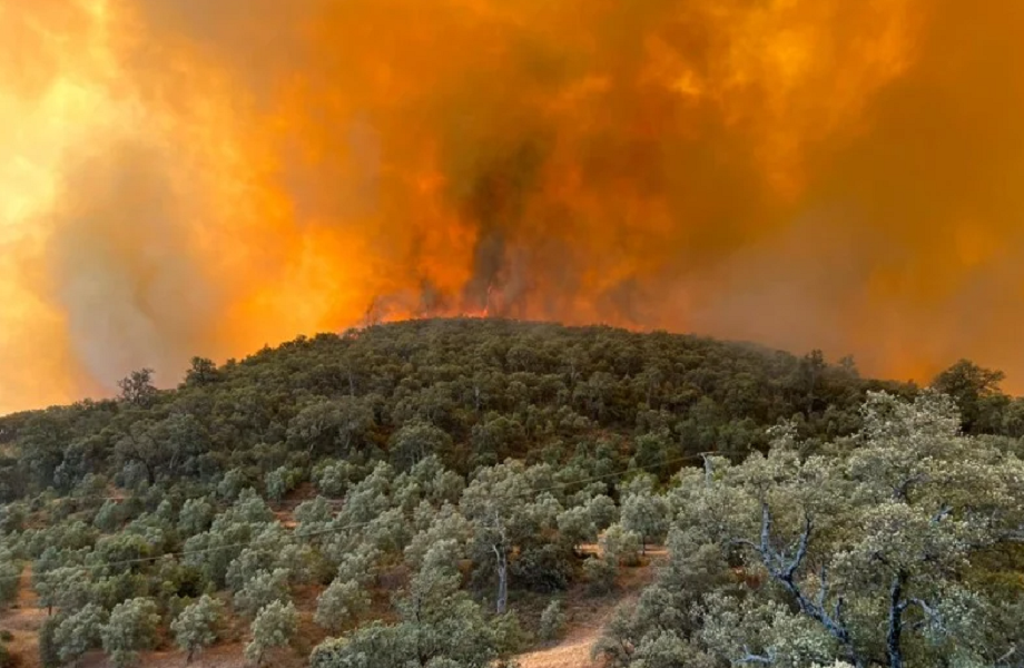 Province de Taza: un incendie de forêt s'est déclaré dans la commune de Smià

