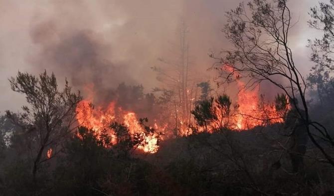 النقاط الرئيسية في الاتفاقية الإطار الرامية لدعم الساكنة المتضررة من حرائق الغابات