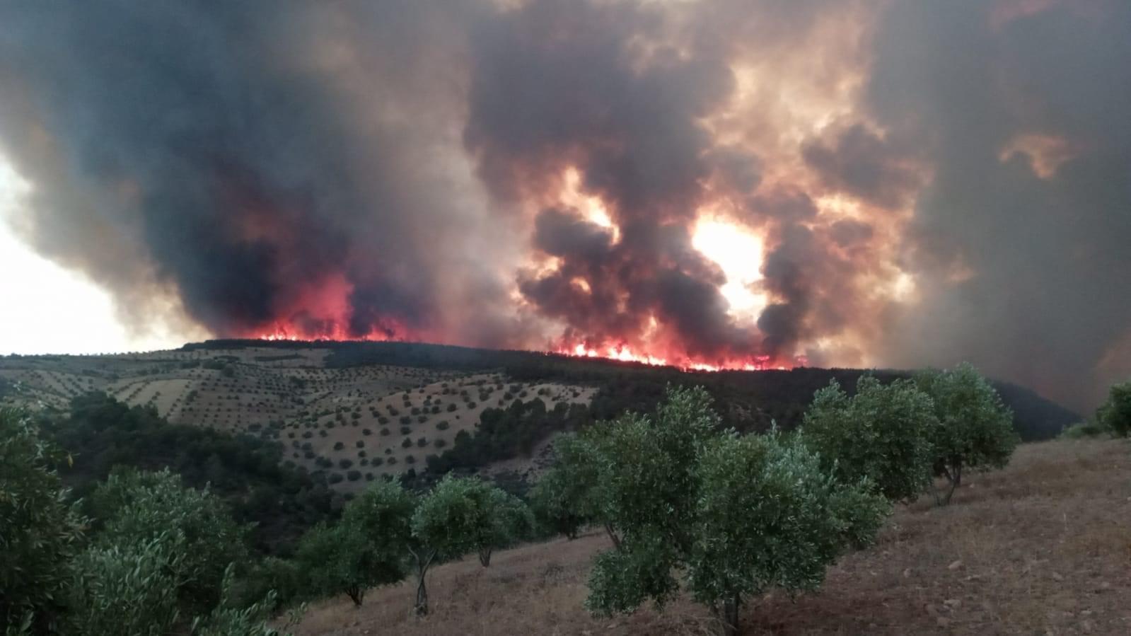 حريق تازة.. ارتفاع المساحة التي طالتها النيران إلى ما يقارب 400 هكتار دون تسجيل خسائر بشرية 