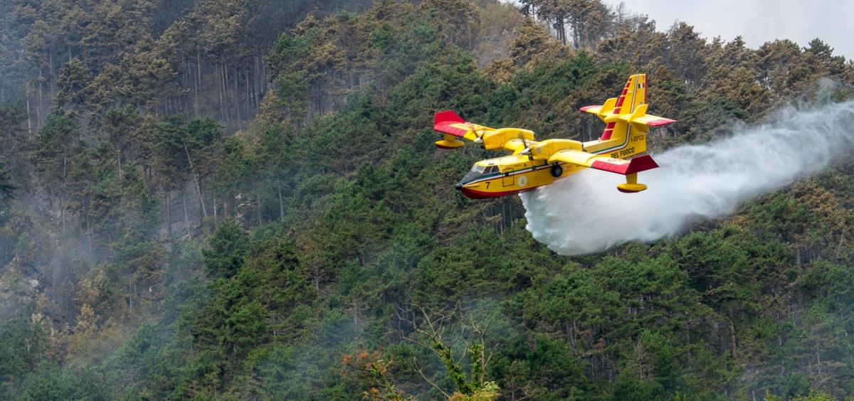 Région du Nord: Les équipes d'intervention à pied d’œuvre pour circonscrire les incendies de forêt