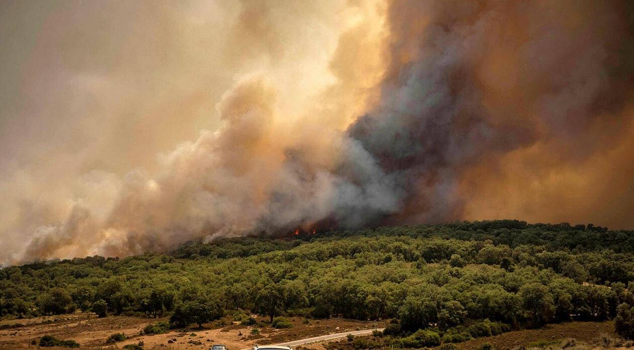 Région du Nord : les efforts se poursuivent pour lutter contre les incendies de forêts