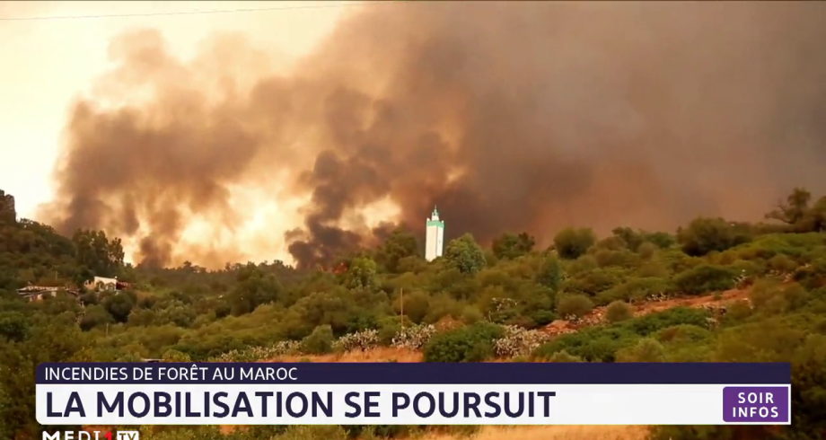Incendies de forêt au Maroc: la mobilisation se poursuit