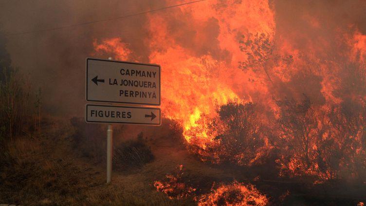 Au moins 60.000 hectares ravagés par les incendies en Espagne