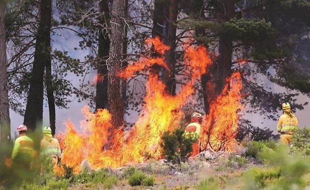 إسبانيا .. النيران تأتي على 122 ألف هكتار من الغابات