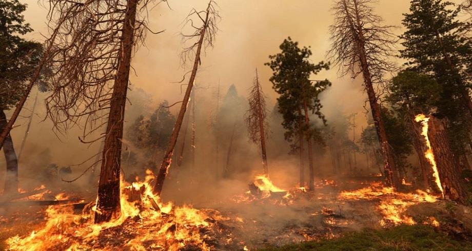 Californie : Oak Fire poursuit ses ravages