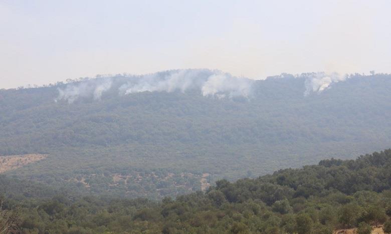 Provinces de Fahs-Anjra: 35 hectares ravagés par l'incendie déclaré au douar "Oued El-Rmel"
