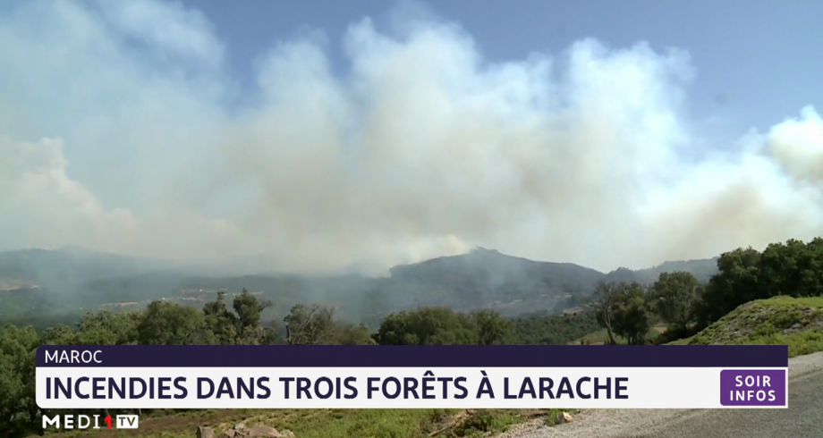 Incendies de forêts : les efforts se poursuivent pour maitriser le feu
