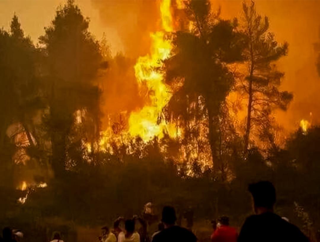 في ظل موجة حرارة استثنائية، تواصل الجهود لإخماد حريق غابة "بوهاشم جبل العلم"