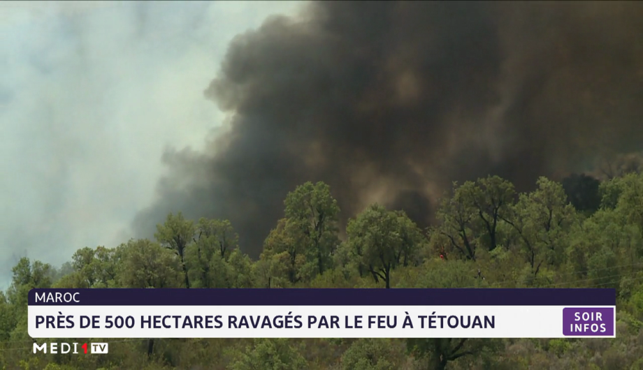 Maroc: près de 500 hectares ravagés par le feu à Tétouan 