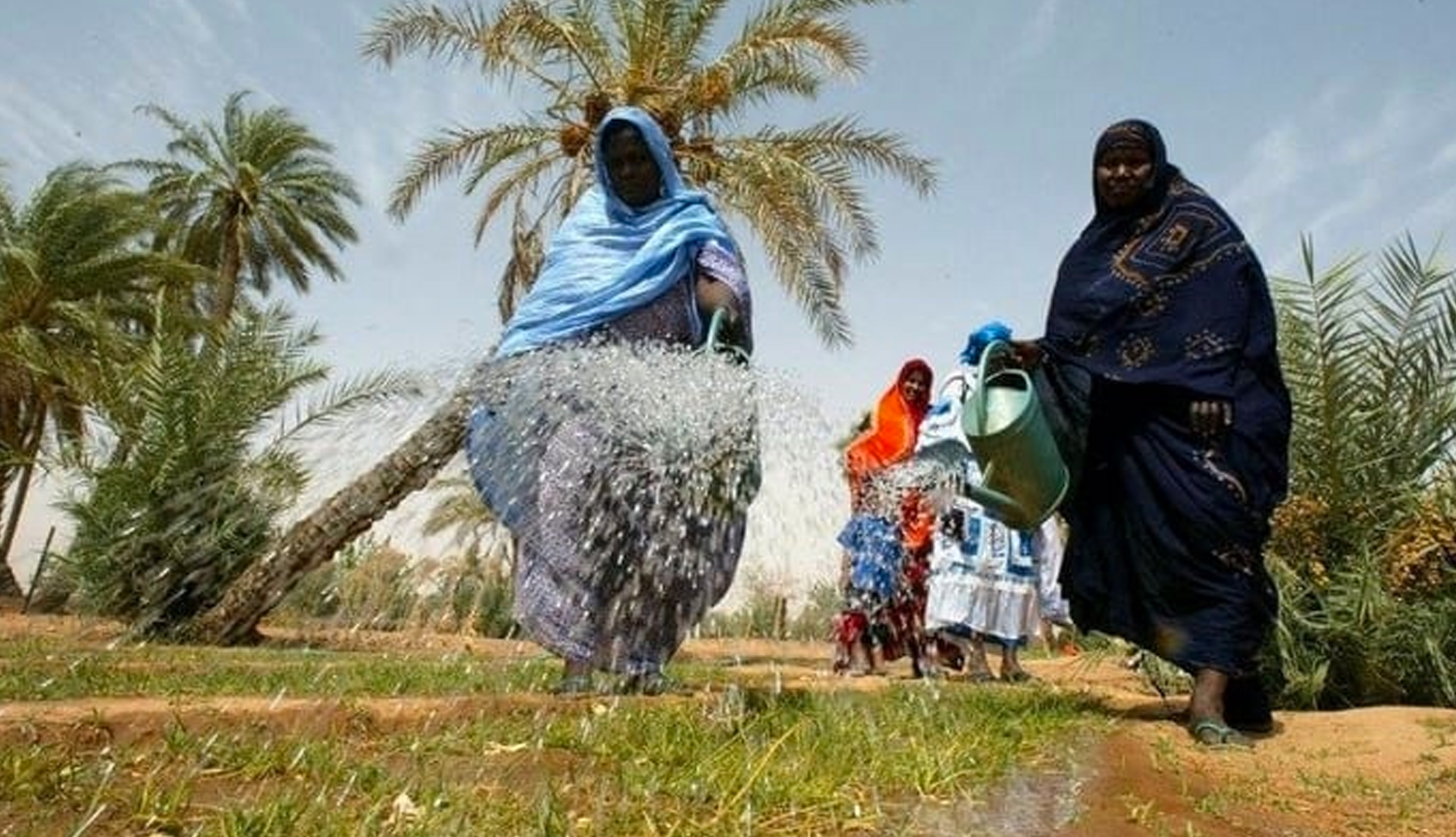 السلطات الموريتانية تجلي المزارعين من نواكشوط بهدف تحقيق الاكتفاء الذاتي