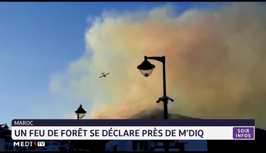 Maroc : Un feu de forêt se déclare près de M’diq