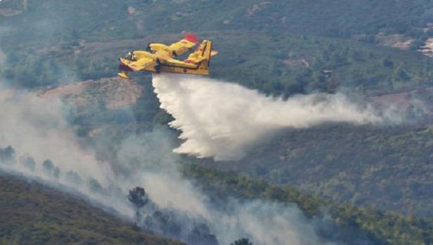 مجهودات فرق الإطفاء لاتزال متواصلة لاحتواء حريق غابة "كدية الطيفور" 