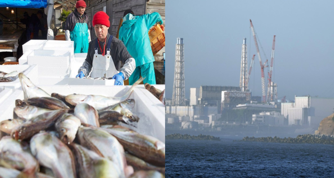Centrale nucléaire de Fukushima: La Chine suspend les importations de produits de la mer en provenance du Japon