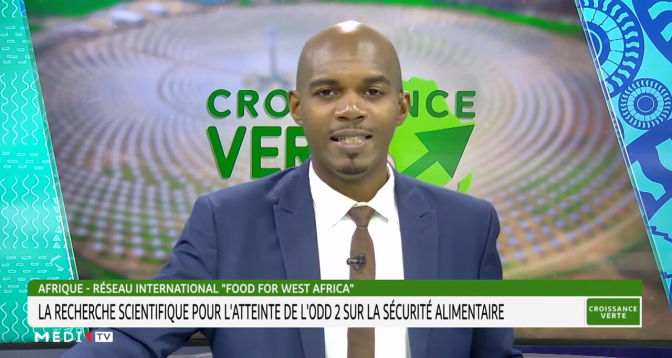 CROISSANCE VERTE > Afrique : la recherche scientifique pour l’atteinte de l’ODD 2 sur la sécurité alimentaire