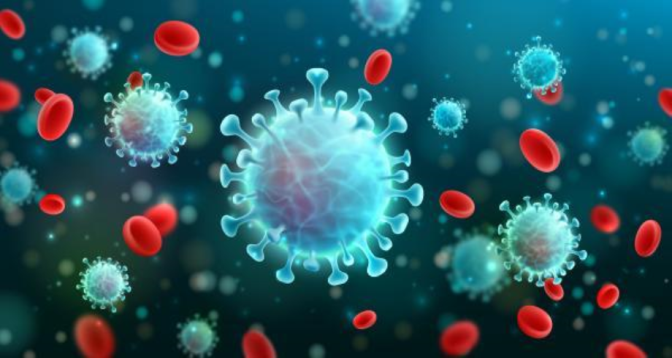Étude : Le Covid long peut causer des dommages à plusieurs organes vitaux